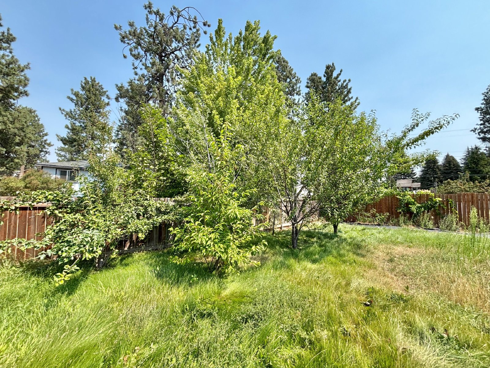 905 Spence St property image