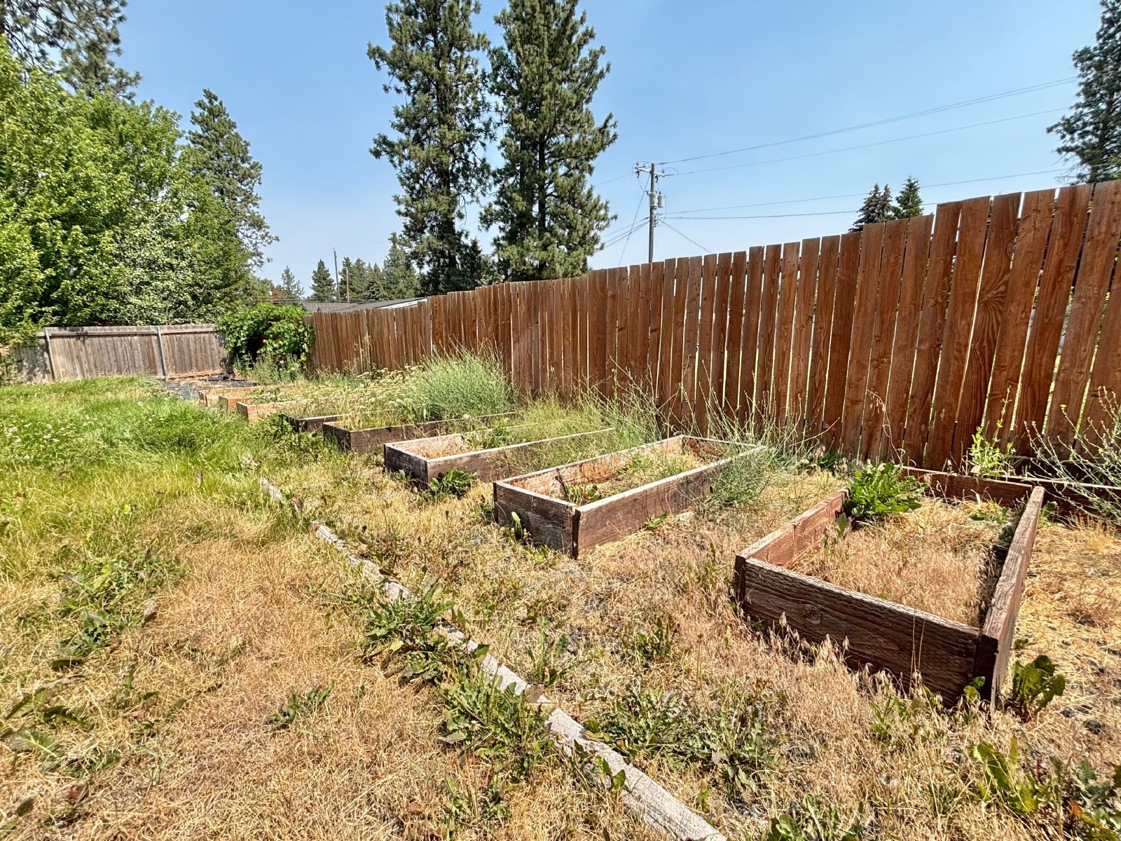 905 Spence St property image