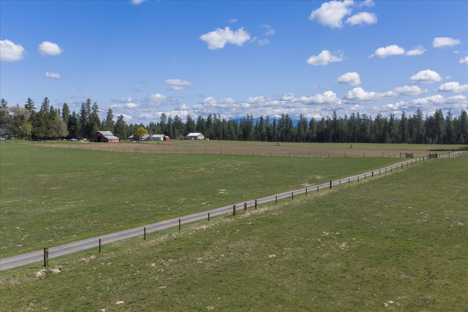 316 W Austin Rd property image